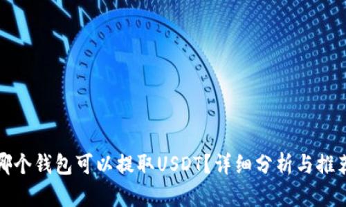 哪个钱包可以提取USDT?详细分析与推荐