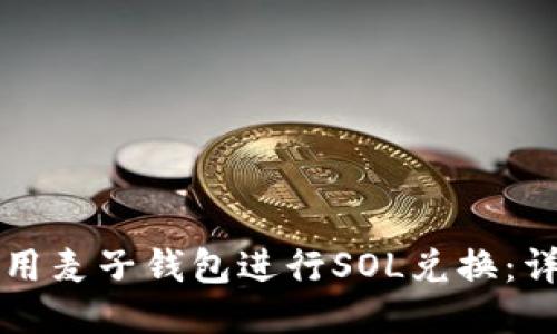 如何使用麦子钱包进行SOL兑换:详细指南