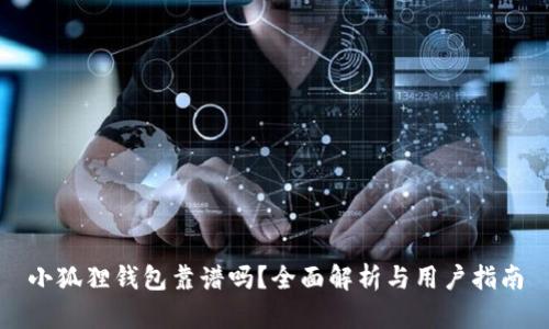 小狐狸钱包靠谱吗?全面解析与用户指南