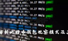 全面解析比特币钱包观察