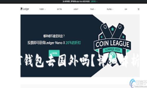 可以携带USDT钱包去国外吗？详细解析与注意事项