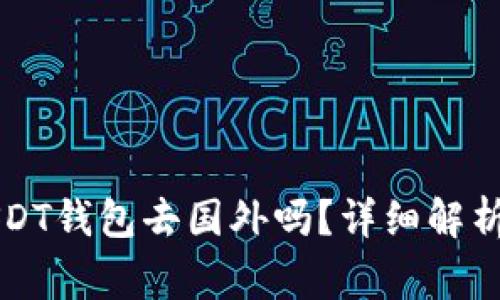 可以携带USDT钱包去国外吗？详细解析与注意事项