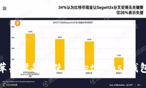 如何在苹果设备上使用MetaMask钱包中文版