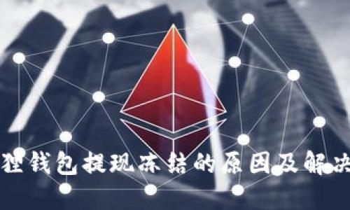 小狐狸钱包提现冻结的原因及解决方案