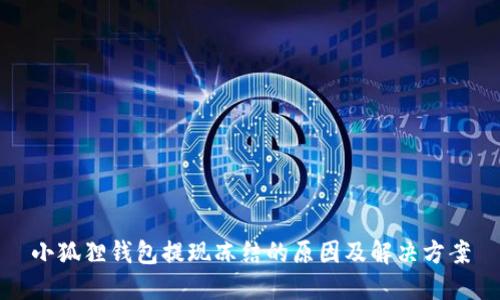 小狐狸钱包提现冻结的原因及解决方案