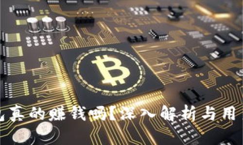 小狐狸钱包真的赚钱吗?深入解析与用户体验分享