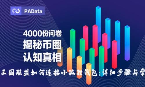 Title: 王国联盟如何连接小狐狸钱包：详细步骤与常见问题
