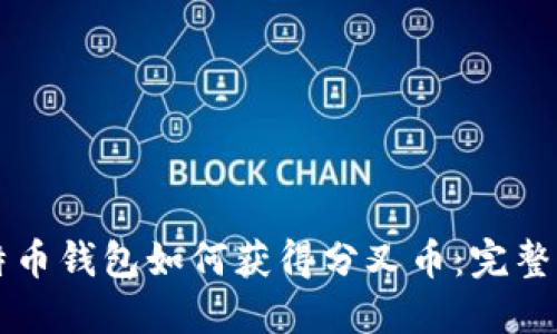 比特币钱包如何获得分叉币:完整指南