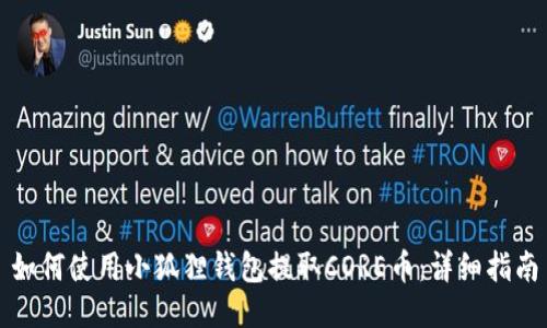 如何使用小狐狸钱包提取CORE币:详细指南