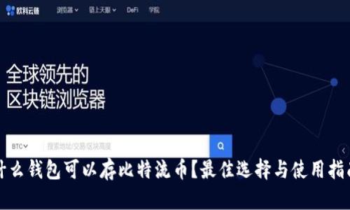 什么钱包可以存比特流币?最佳选择与使用指南