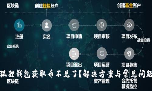 : 小狐狸钱包获取币不见了?解决方案与常见问题解析