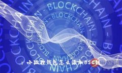 : 小狐狸钱包怎么添加BS