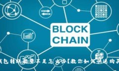 TRX钱包转账能量不足怎么