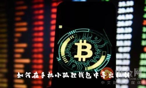如何在手机小狐狸钱包中导出私钥