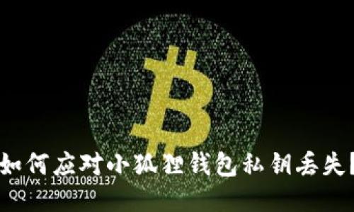 如何应对小狐狸钱包私钥丢失?