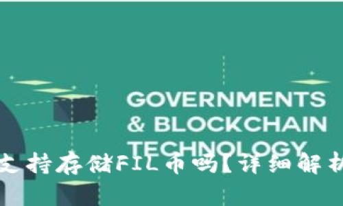 小狐狸钱包支持存储FIL币吗？详细解析与用户指南