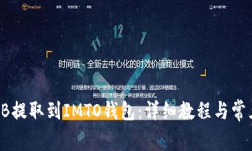 如何将SHIB提取到IMTO钱包:详细教程与常见问题解答