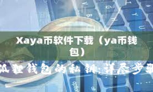 如何导入小狐狸钱包的私钥:详尽步骤与注意事项