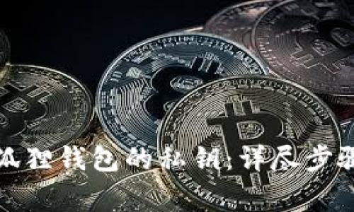 如何导入小狐狸钱包的私钥:详尽步骤与注意事项
