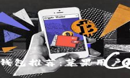 最佳USDT钱包推荐:苹果用户的完全指南