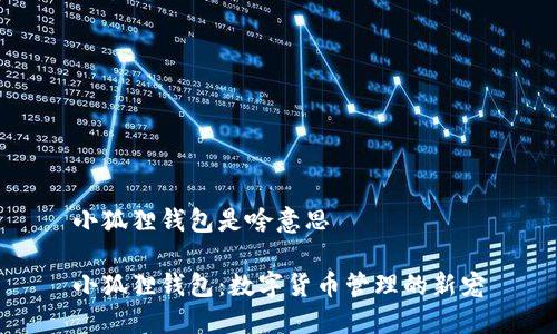 小狐狸钱包是啥意思

小狐狸钱包：数字货币管理的新宠
