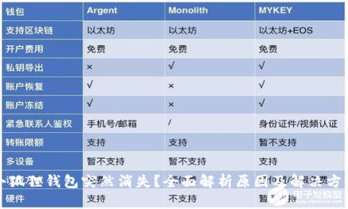 小狐狸钱包突然消失?全面解析原因及解决方案