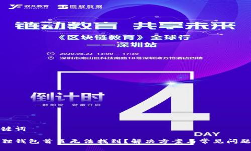 和关键词
小狐狸钱包首页无法找到?解决方案与常见问题解析