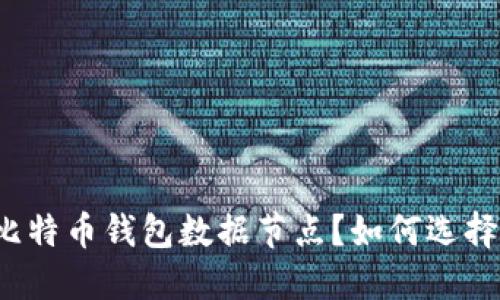 什么是比特币钱包数据节点?如何选择和使用?