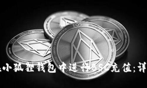如何在小狐狸钱包中进行BSC充值：详细指南