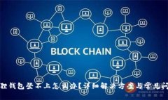 : 小狐狸钱包登不上怎么办