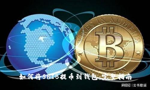 如何将SHIB提币到钱包：完整指南