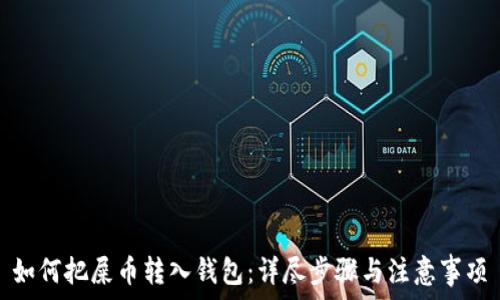 如何把屎币转入钱包:详尽步骤与注意事项