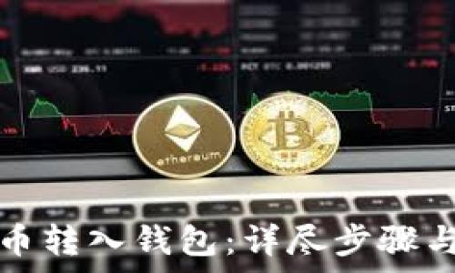 如何把屎币转入钱包:详尽步骤与注意事项