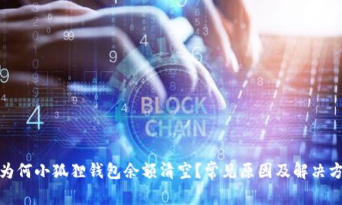 : 为何小狐狸钱包余额清空?常见原因及解决方法