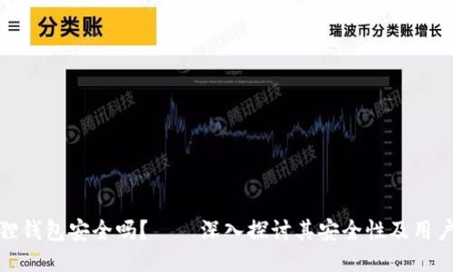 小狐狸钱包安全吗?——深入探讨其安全性及用户体验