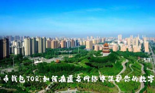 比特币钱包TOR：如何在匿名网络中保护你的数字资产