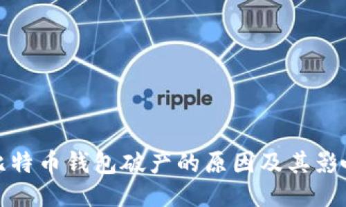 比特币钱包破产的原因及其影响