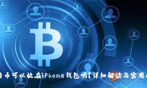 比特币可以放在iPhone钱包吗？详细解读与实用指南