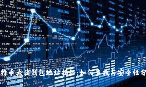 比特币大佬钱包地址揭秘:如何查找与安全性分析