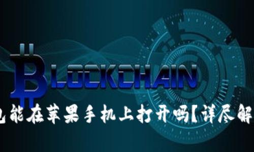 安卓USDT钱包能在苹果手机上打开吗?详尽解答与使用指南