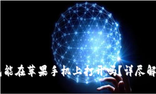 安卓USDT钱包能在苹果手机上打开吗?详尽解答与使用指南