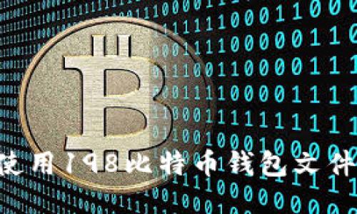 如何安全使用198比特币钱包文件：新手指南