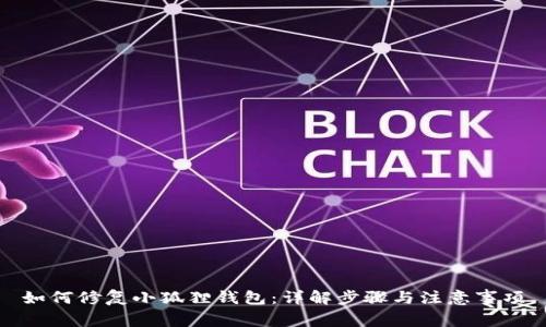 如何修复小狐狸钱包:详解步骤与注意事项