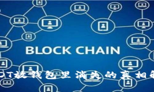 USDT放钱包里消失的真相解析