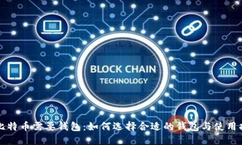玩比特币需要钱包:如何选择合适的钱包与使用指南