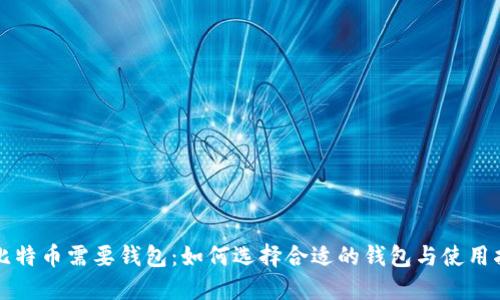 玩比特币需要钱包:如何选择合适的钱包与使用指南