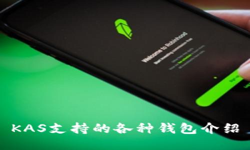 KAS支持的各种钱包介绍