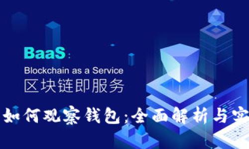 小狐狸如何观察钱包:全面解析与实用技巧