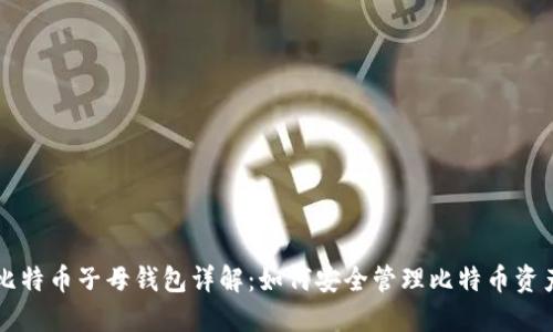 比特币子母钱包详解：如何安全管理比特币资产