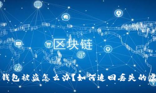 小狐狸钱包被盗怎么办?如何追回丢失的虚拟资产